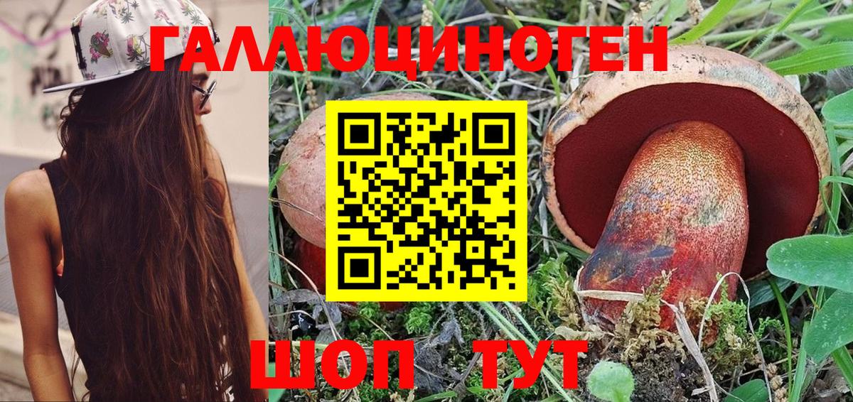 Галлюциногенные грибы Psilocybe  Вход с VPN  Благодарный  Галлюциногенные грибы мицелий 