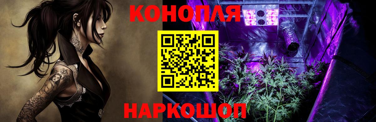 МАРИХУАНА Amnesia  Каннабис OG Kush  Благодарный  Вход с VPN  Каннабис планчик 